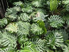 -北京植物园-展览温室