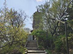 -高尔山公园