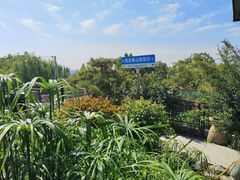 -蘇河湾·新鲁菜·泰山宴(泰山店)