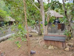 -野象谷景区