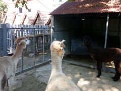 -意大利农场度假村