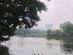 -荔湾湖公园