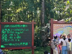 -汤旺河林海奇石景区