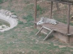 -石家庄市动物园