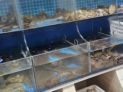 -宾朋海鲜特色美食餐厅·纯手工鲅鱼水饺(兴海路店)