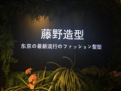 点击看大图 -藤野造型