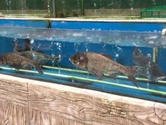 -龙达温泉生态城