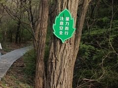 -金龙寺国家森林公园