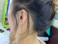 -木北造型