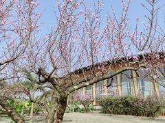 -中国天府农业博览园