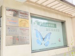 -上海昆虫博物馆