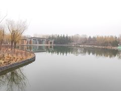 -大兴滨河森林公园