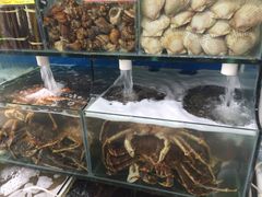 -蚝专家(北滘店)