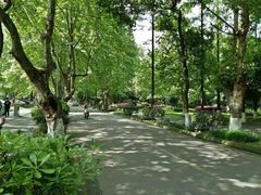 -四川大学(望江校区)