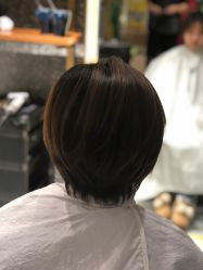-付军剪艺