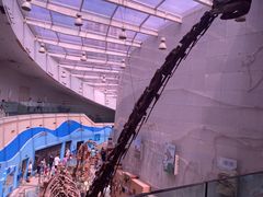 -陕西自然博物馆