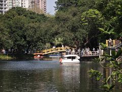-晓港公园