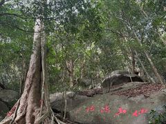 -七仙岭温泉国家森林公园