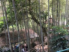 -大本营竹筒饭