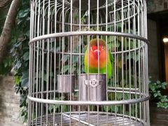 -卧龙堡客栈·中餐厅(古北水镇店)