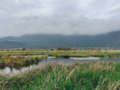-腾冲北海湿地