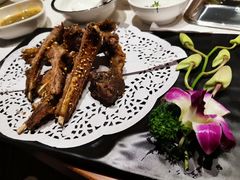 -九府羊·鲜羊火锅·烤串(新华路店)