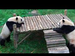 -无锡动物园·太湖欢乐园
