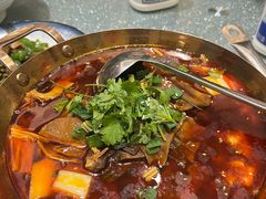 -松沪名灶·豆浆鱼头·新上海菜(飞航吾悦广场店)