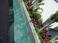 -候鸟水榕庄度假酒店