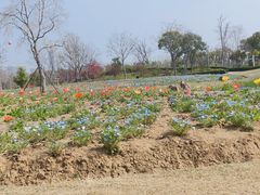 -苏州上方山国家森林公园