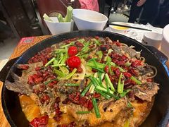 -老板恋上鱼(恒隆广场店)