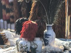 -中环花鸟鱼虫市场