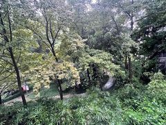 -乌山风景区