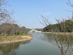 -上海海湾国家森林公园