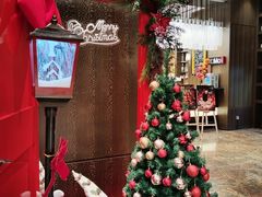 -上海西藏大厦万怡酒店Momo Cafe(徐汇店)