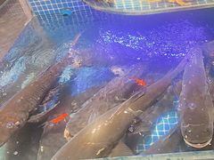 -味钱塘·钱塘渔鲜·地道江浙菜(宋城店)