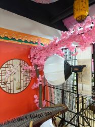 -上海绛芸轩汉服馆(松江店)