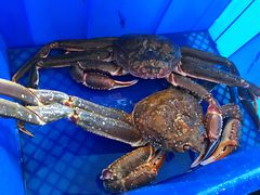 -蟹之国·精品蟹料理(极地店)