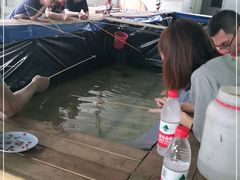 -小象钓虾·营地烧烤(洛溪店)