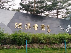 -广州市流溪河国家森林公园