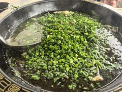-马村鱼头