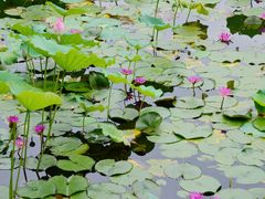 -烈士陵园(地铁站)