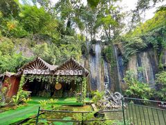 -西双版纳原始森林公园