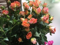 -艾加柒克蛋糕茶歇甜品台(春熙路店)