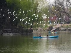 -WhaleSports户外水上运动俱乐部(朝阳公园店)