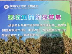 -烟墩角天鹅湖