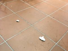 -日日鲜茶餐厅(小公园店)