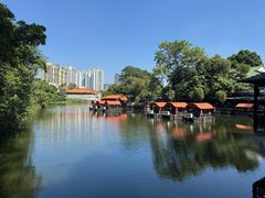 -侨美·唐荔园·40年地道粤菜