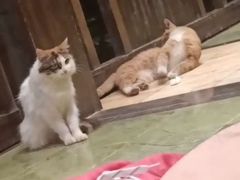 -龙达温泉生态城