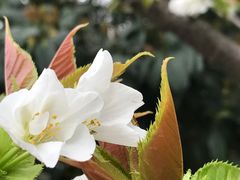 -龟山风景区-龟山电视塔